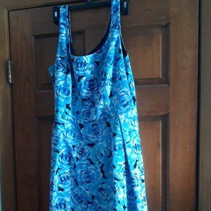 Blue Roses A line Dress